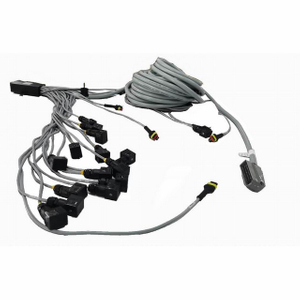 Extensión automotriz personalizada de mazo de cables macho a hembra para maquinaria de ingeniería y automóviles